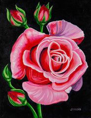 OS7A7526_medium.jpg?v=1569591780