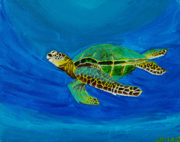 Sea Turtle