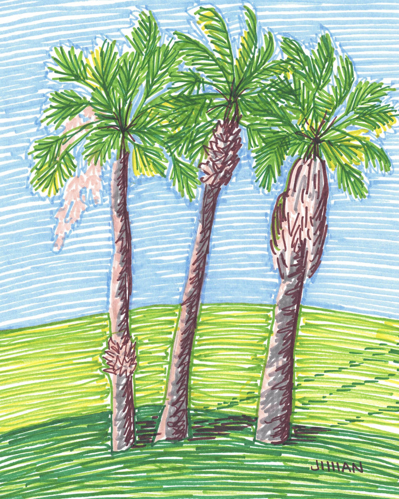 Sketchy Palms